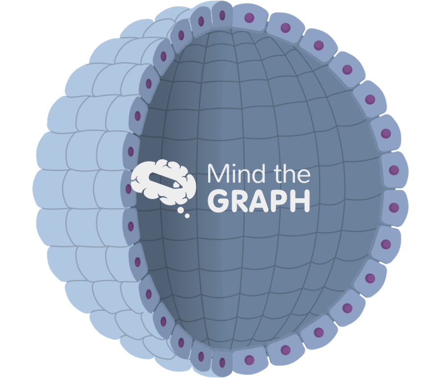 Cell sferoid Icons, Symbols, Pictures, and Images
