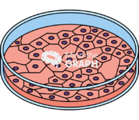 Cells mololayered tissue culture dish at 70 confluence Icons, Symbols, Pictures, and Images