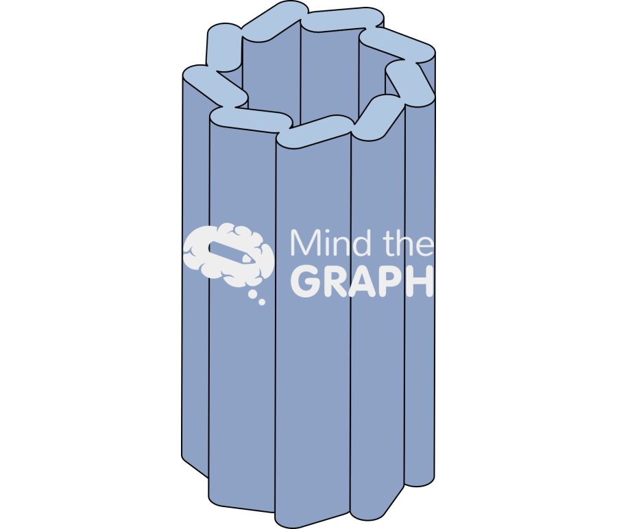 Centriole 2 perspective Icons, Symbols, Pictures, and Images