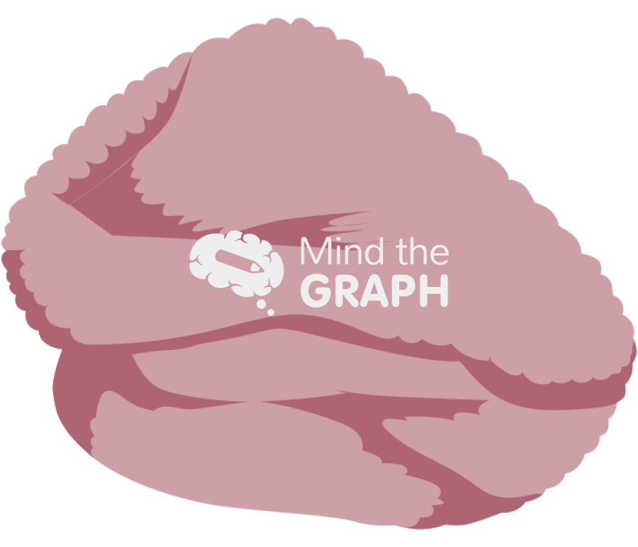 Cerebellum lateral Icons, Symbols, Pictures, and Images