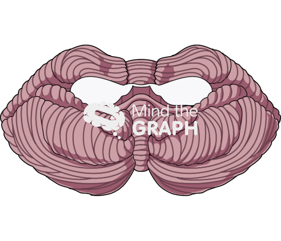 Cerebellus 2 Icons, Symbols, Pictures, and Images