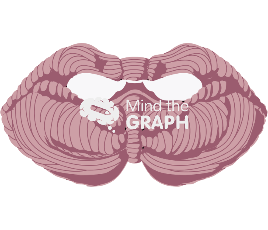 Cerebellus 2 Icons, Symbols, Pictures, and Images