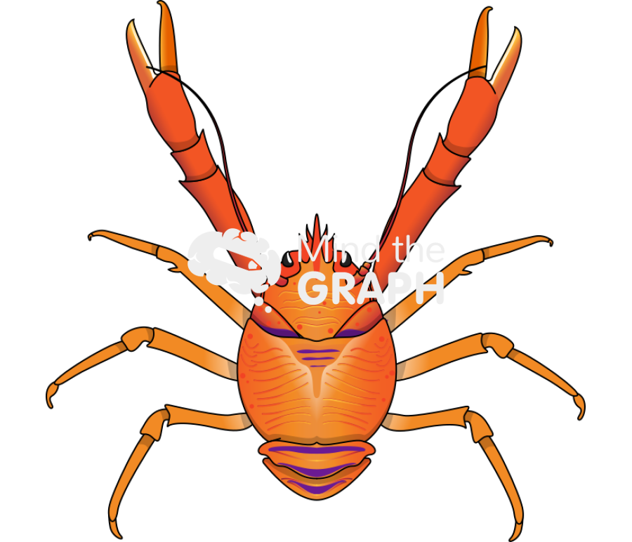Cervimunida johni lobster top Icons, Symbols, Pictures, and Images