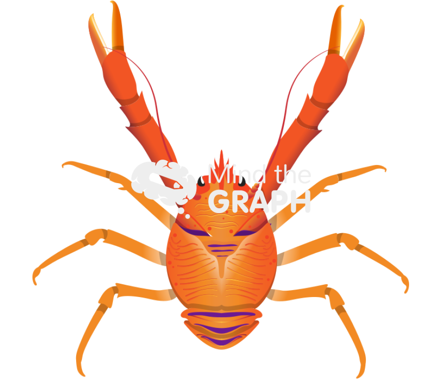 Cervimunida johni lobster top Icons, Symbols, Pictures, and Images