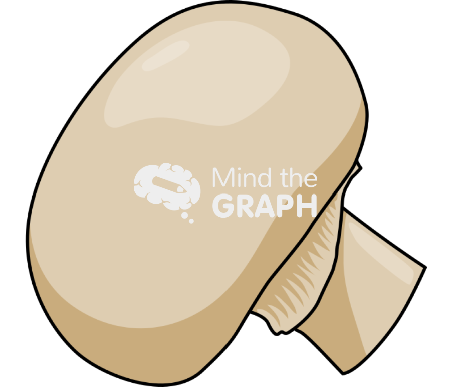 Champignon Icons, Symbols, Pictures, and Images