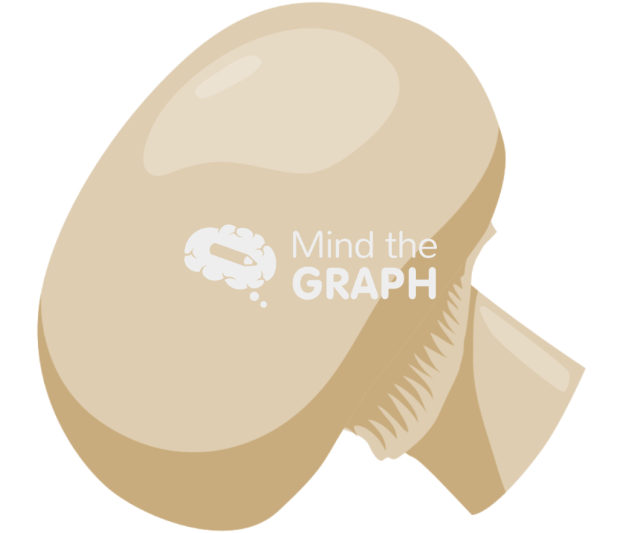 Champignon Icons, Symbols, Pictures, and Images