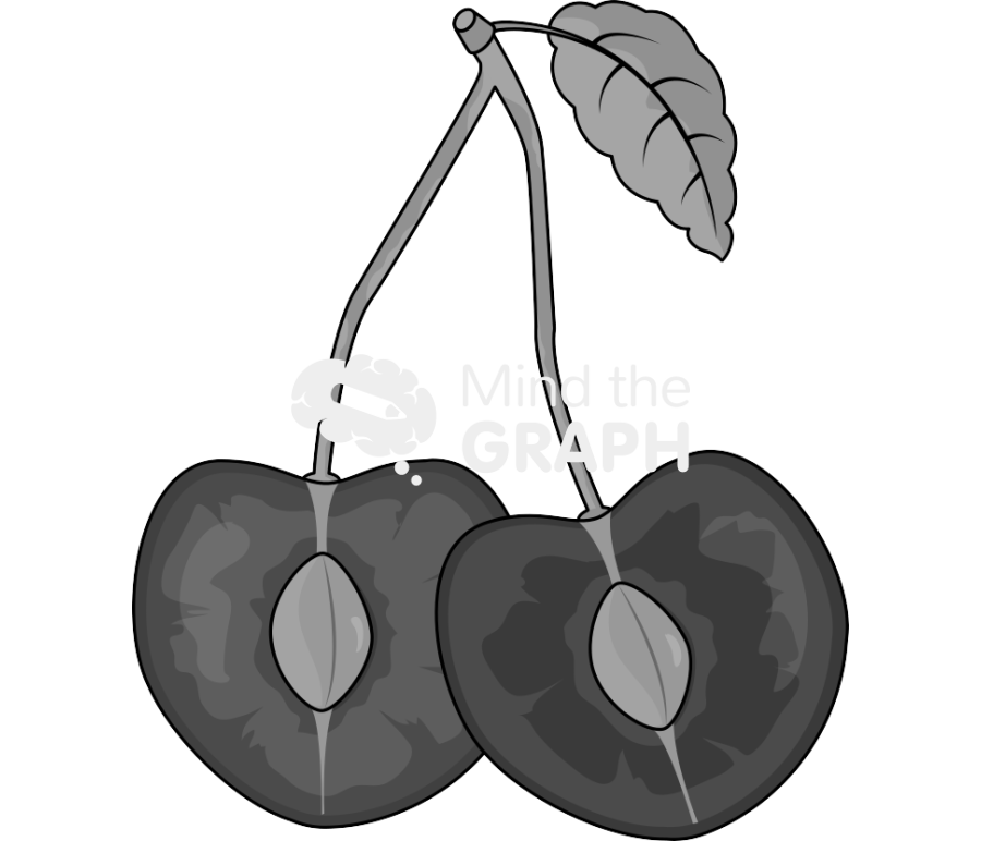 Cherry open Icons, Symbols, Pictures, and Images