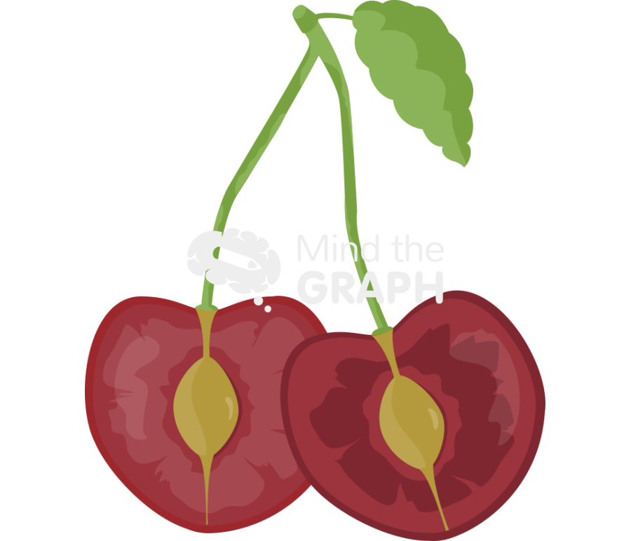 Cherry open Icons, Symbols, Pictures, and Images