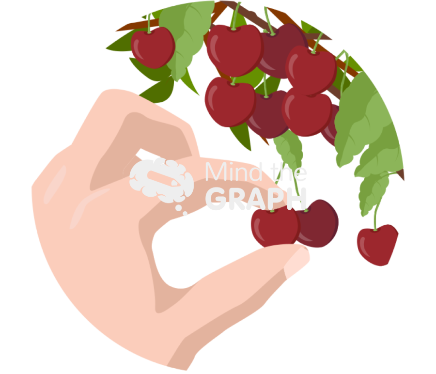 Cherry picking zoom Icons, Symbols, Pictures, and Images
