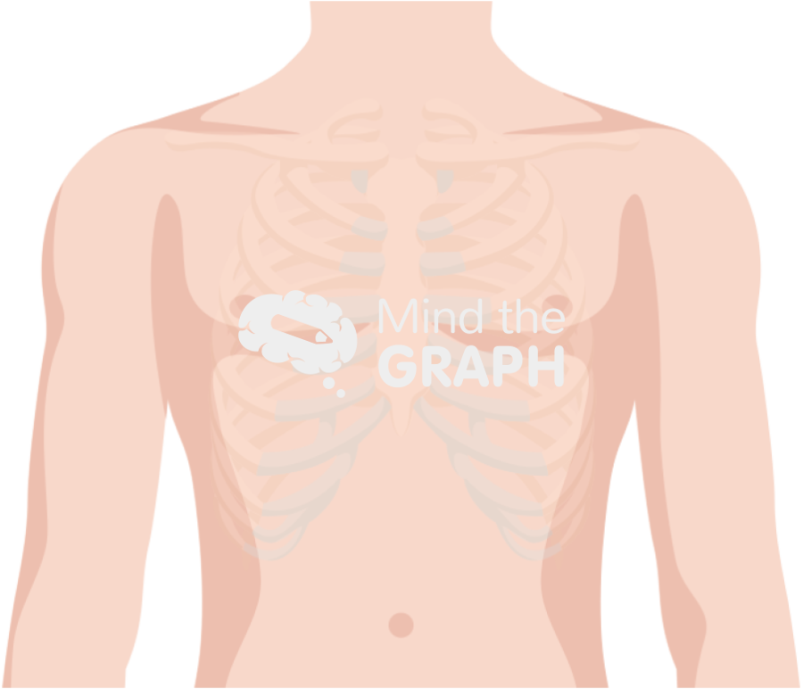 Chest thorax Icons, Symbols, Pictures, and Images