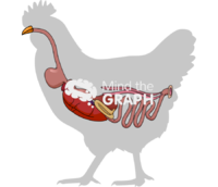 Chicken digestive system body Icons, Symbols, Pictures, and Images