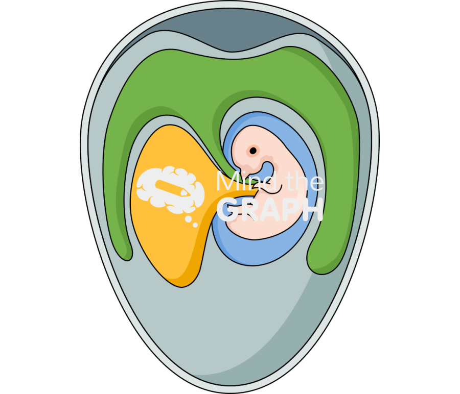 Chicken embryo virus inoculation methods Icons, Symbols, Pictures, and Images