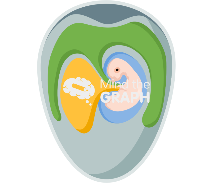 Chicken embryo virus inoculation methods Icons, Symbols, Pictures, and Images