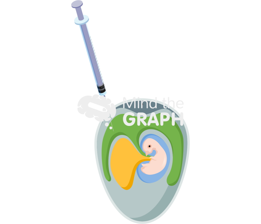 Chicken embryo virus inoculation methods 2 Icons, Symbols, Pictures, and Images