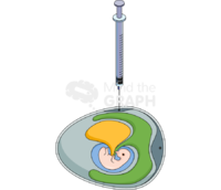 Chicken embryo virus inoculation methods 3 - Edit and Customize Icons of Chicken embryo virus inoculation methods 3 Chicken embryo virus inoculation methods 3 Icons, Symbols, Pictures, and Images