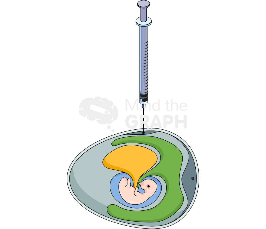 Chicken embryo virus inoculation methods 3 Icons, Symbols, Pictures, and Images