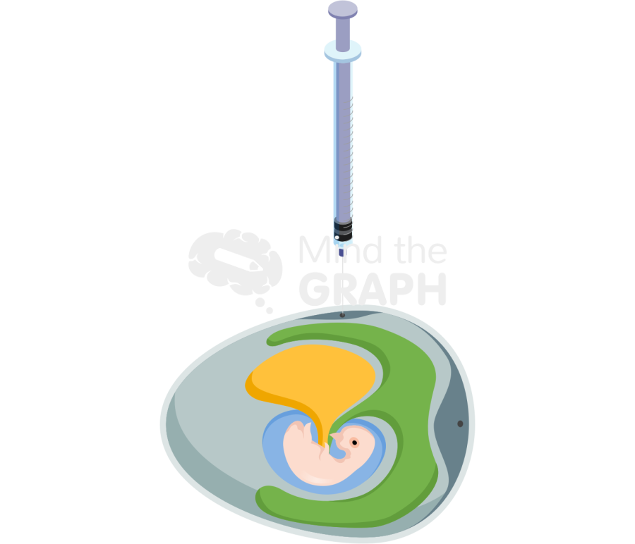 Chicken embryo virus inoculation methods 3 Icons, Symbols, Pictures, and Images