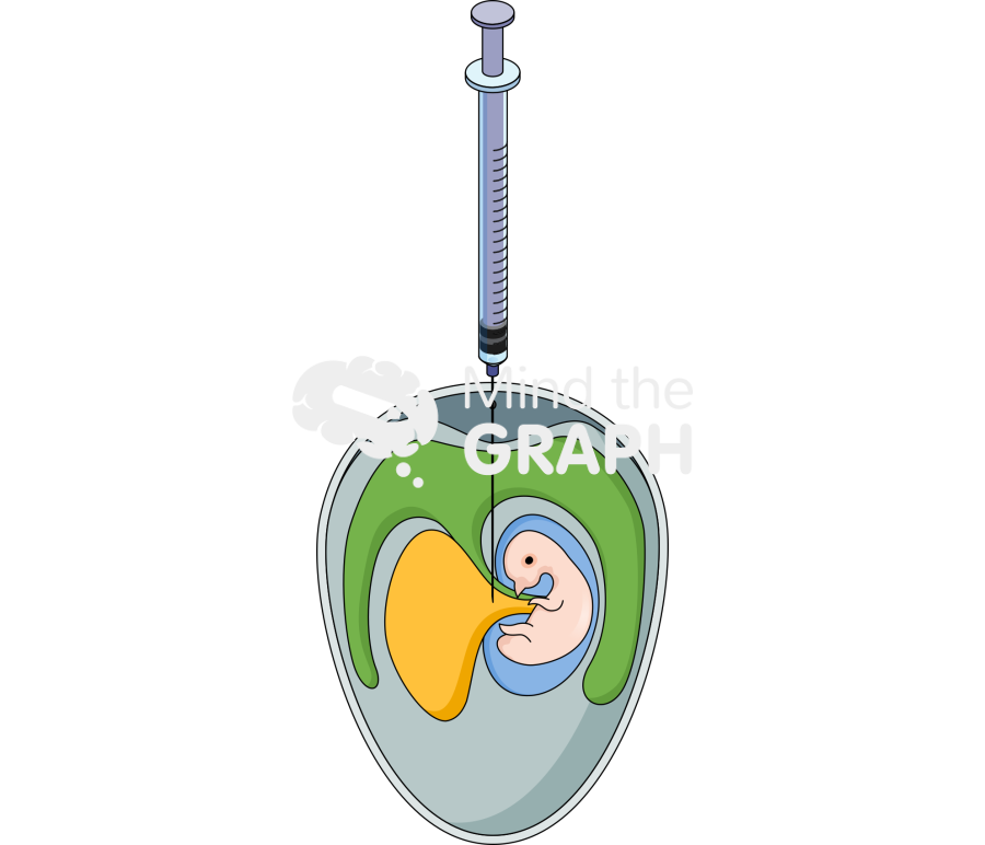 Chicken embryo virus inoculation methods 4 Icons, Symbols, Pictures, and Images