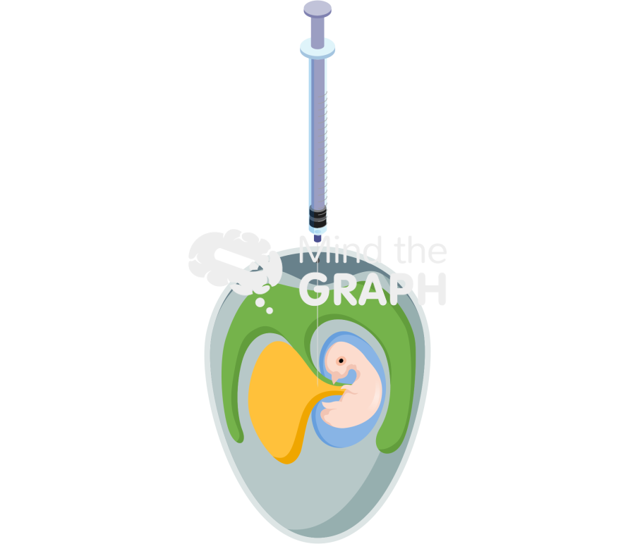 Chicken embryo virus inoculation methods 4 Icons, Symbols, Pictures, and Images