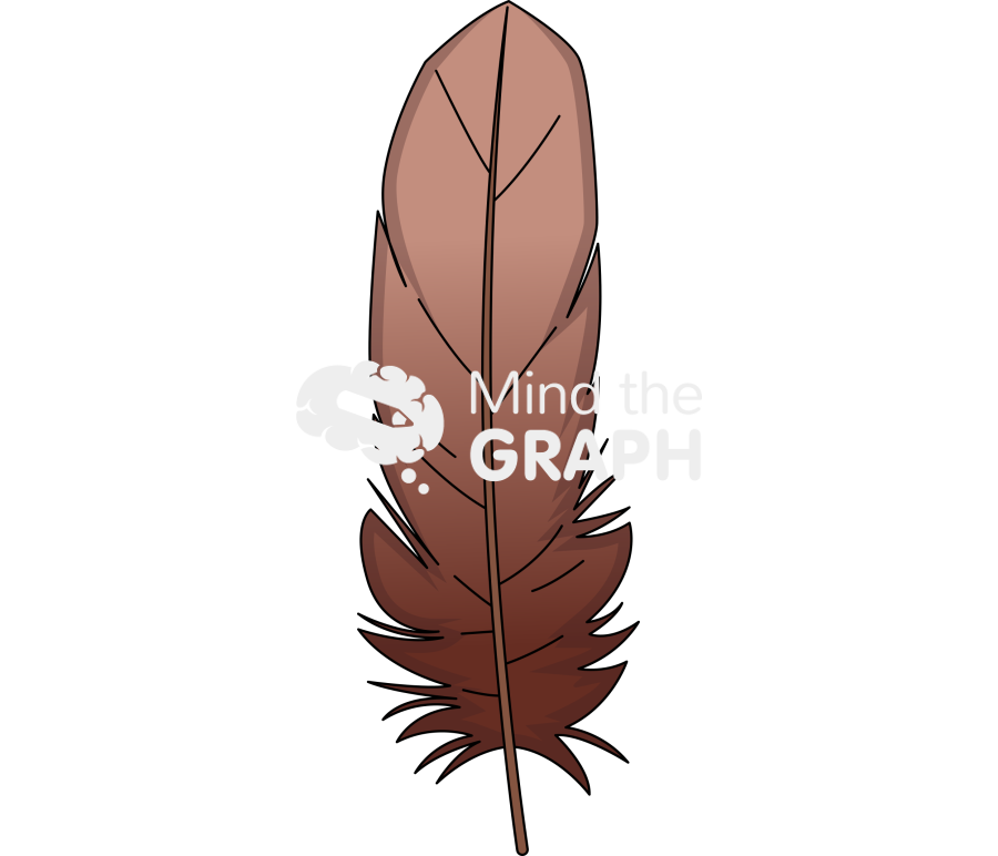 Chicken feather Icons, Symbols, Pictures, and Images