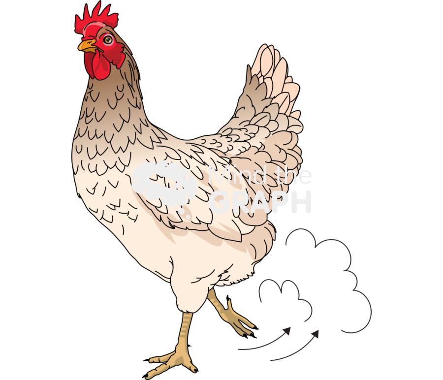 Chicken scratching Icons, Symbols, Pictures, and Images