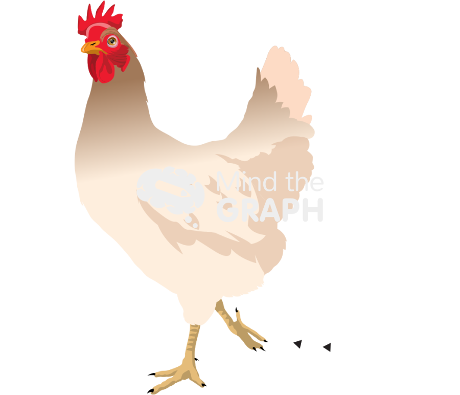 Chicken scratching Icons, Symbols, Pictures, and Images