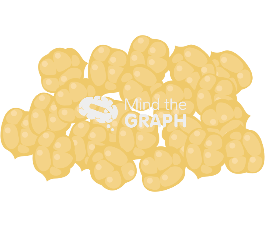 Chickpea seeds Icons, Symbols, Pictures, and Images