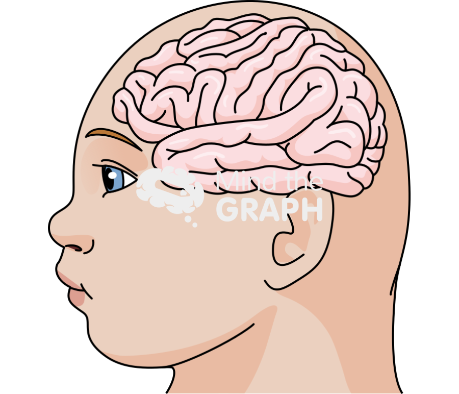 Child brain microcephaly lateral Icons, Symbols, Pictures, and Images