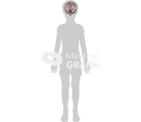 Child brain shape body front Icons, Symbols, Pictures, and Images