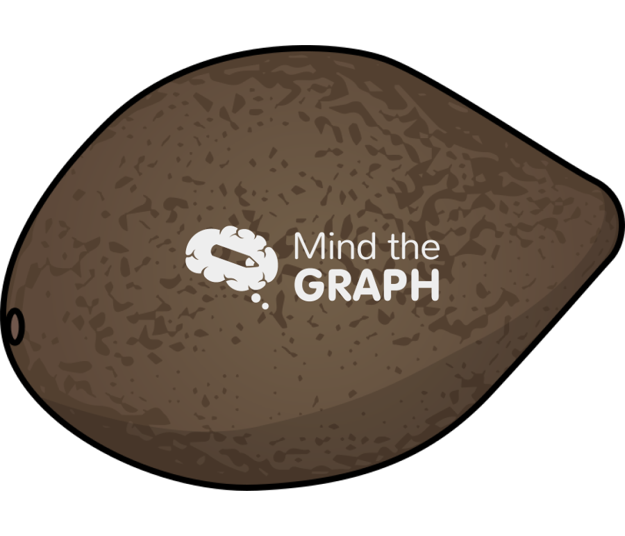 Chilean hazelnut gevuina Icons, Symbols, Pictures, and Images