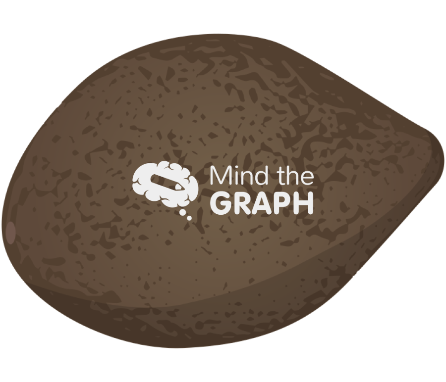Chilean hazelnut gevuina Icons, Symbols, Pictures, and Images