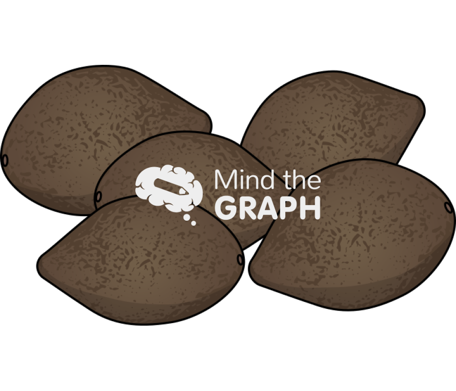 Chilean hazelnut gevuina group Icons, Symbols, Pictures, and Images