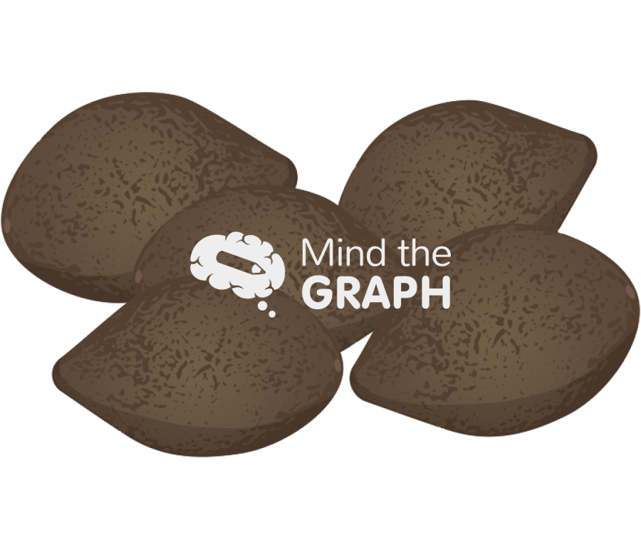 Chilean hazelnut gevuina group Icons, Symbols, Pictures, and Images