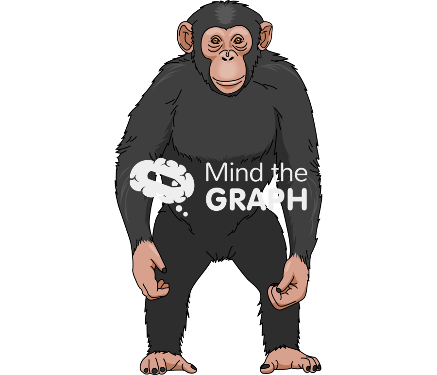 Chimpanzee Icons, Symbols, Pictures, and Images