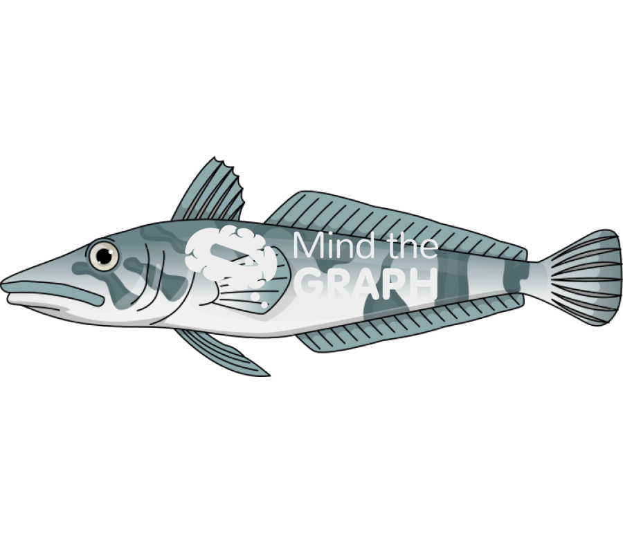 Chionodraco rastrospinosus fish lateral Icons, Symbols, Pictures, and Images