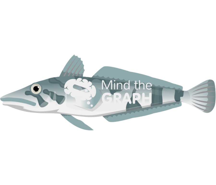 Chionodraco rastrospinosus fish lateral Icons, Symbols, Pictures, and Images