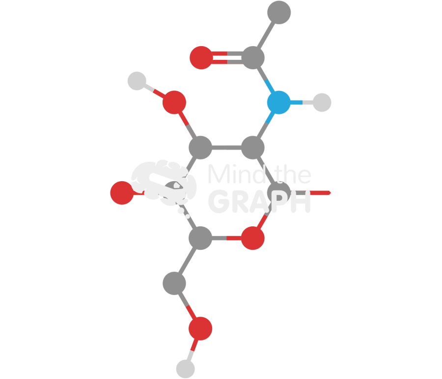 Chitin molecule Icons, Symbols, Pictures, and Images