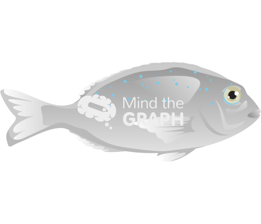 Chrysophrys auratus juvenile australasian snapper fish Icons, Symbols, Pictures, and Images