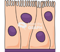 Ciliated epithelium cell 2 Icons, Symbols, Pictures, and Images