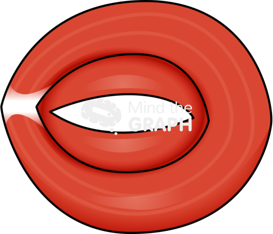 Circular muscle orbicularis Icons, Symbols, Pictures, and Images