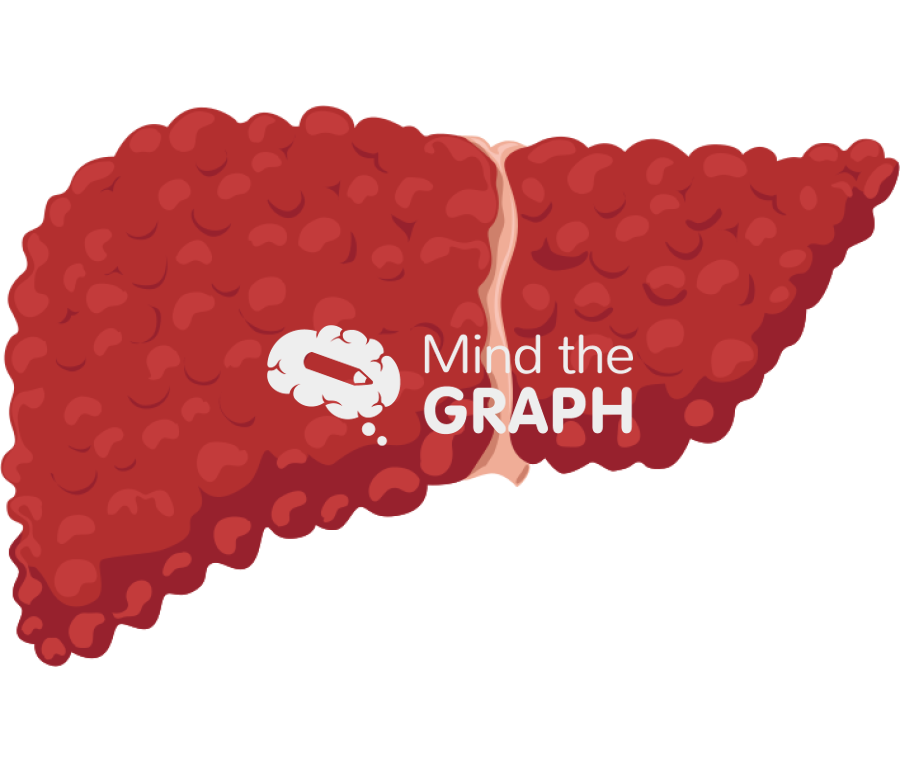 Cirrhosis liver side Icons, Symbols, Pictures, and Images