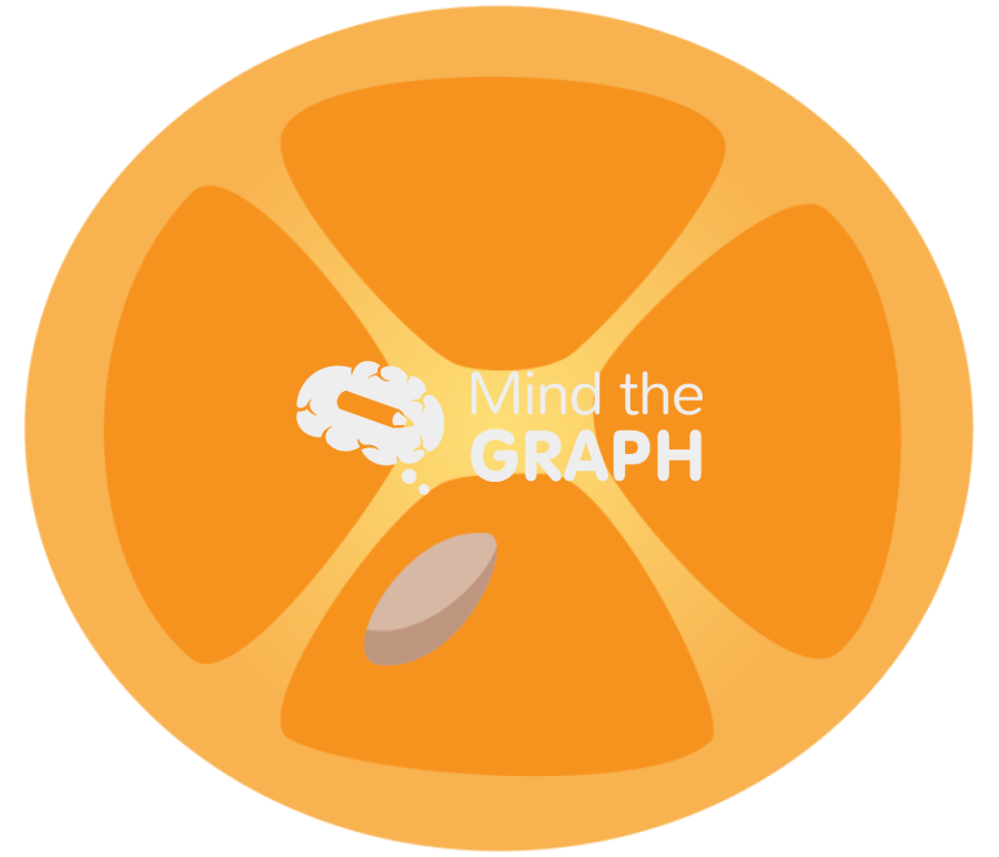 Citrus japonica fruit leaf transversal cut Icons, Symbols, Pictures, and Images