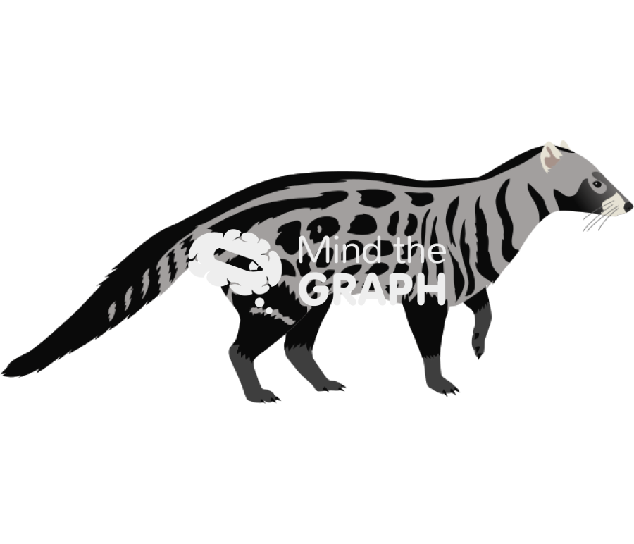 Civettictis civetta lateral Icons, Symbols, Pictures, and Images