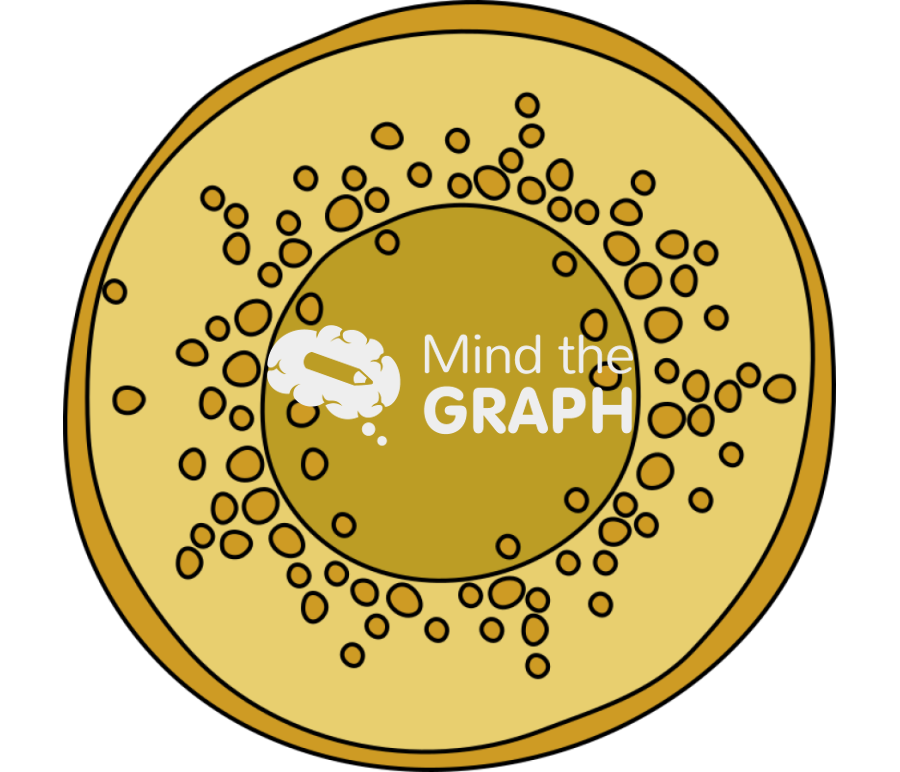 Clamydia trachomatis Icons, Symbols, Pictures, and Images