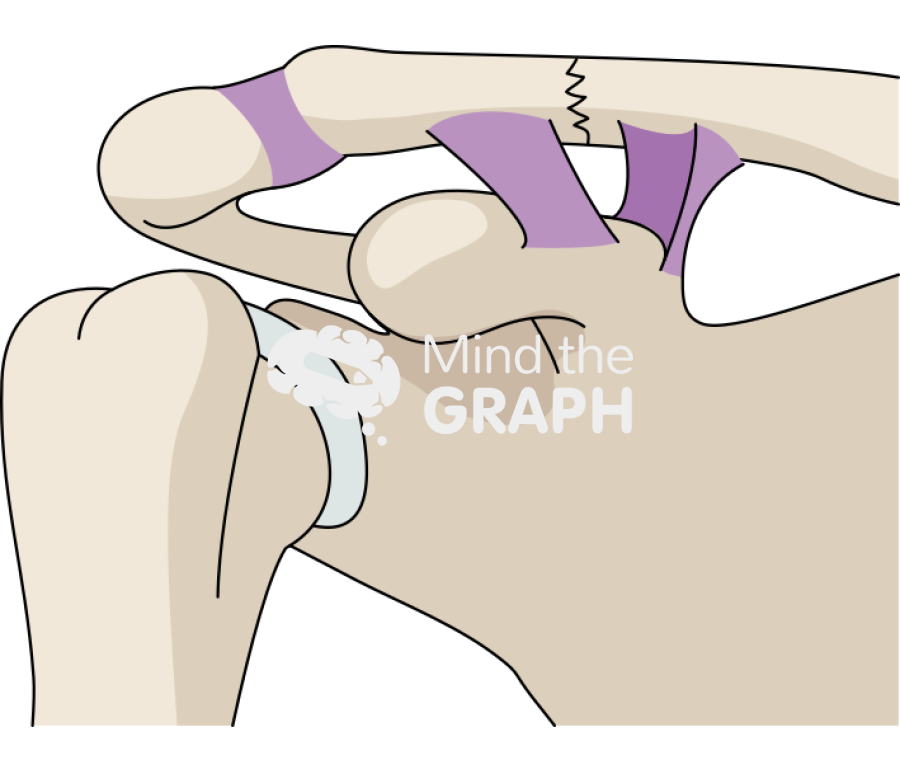 Clavicle fracture crack Icons, Symbols, Pictures, and Images