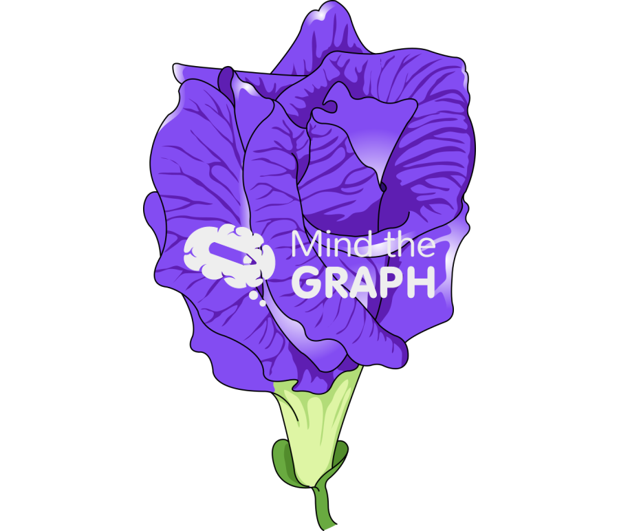 Clitoria ternatea flower Icons, Symbols, Pictures, and Images