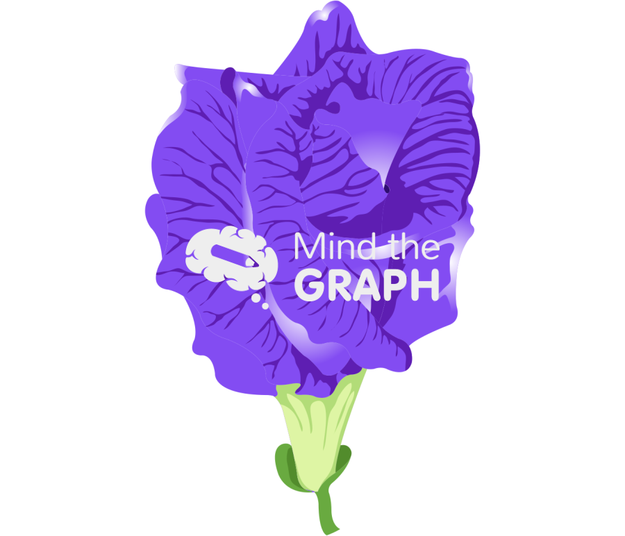 Clitoria ternatea flower Icons, Symbols, Pictures, and Images