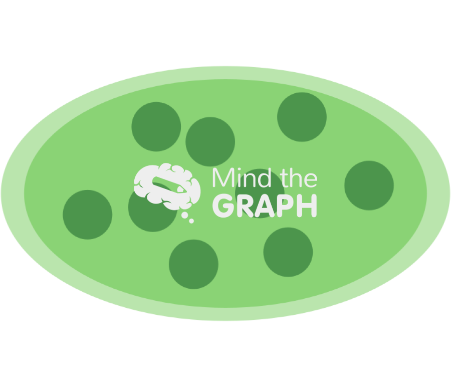 Cloroplast cut top Icons, Symbols, Pictures, and Images