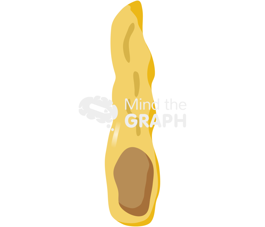 Clostridium tetani 2 Icons, Symbols, Pictures, and Images