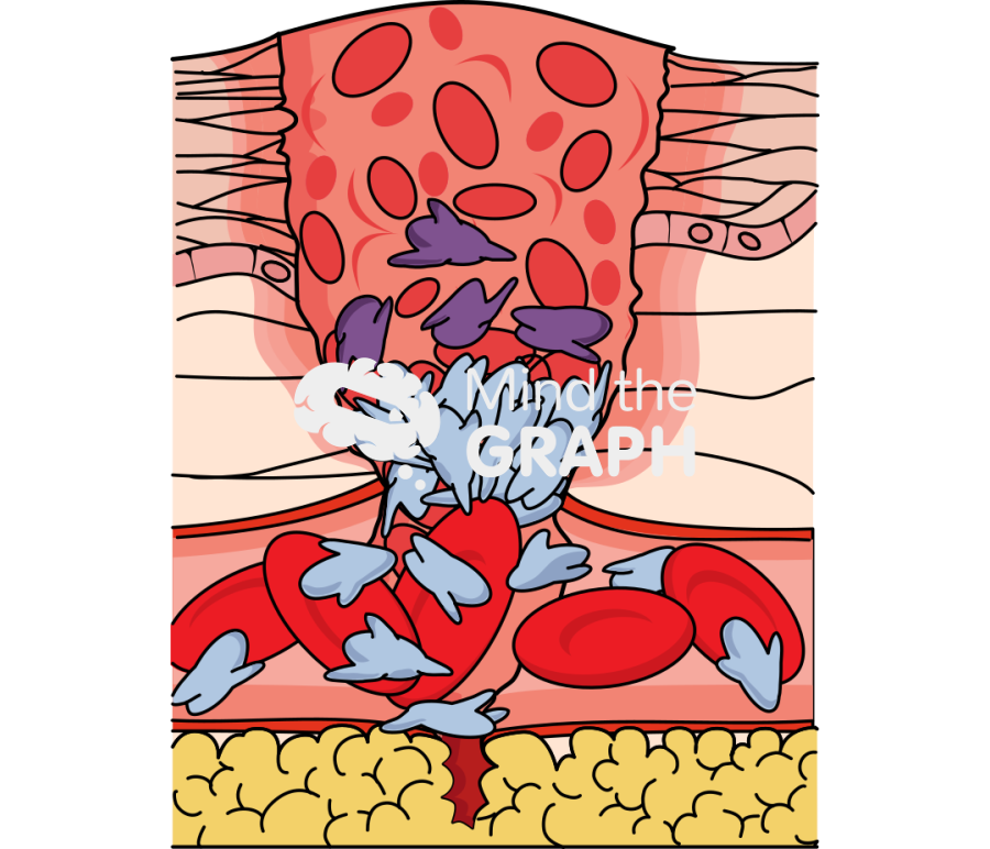 Coagulation 3 Icons, Symbols, Pictures, and Images
